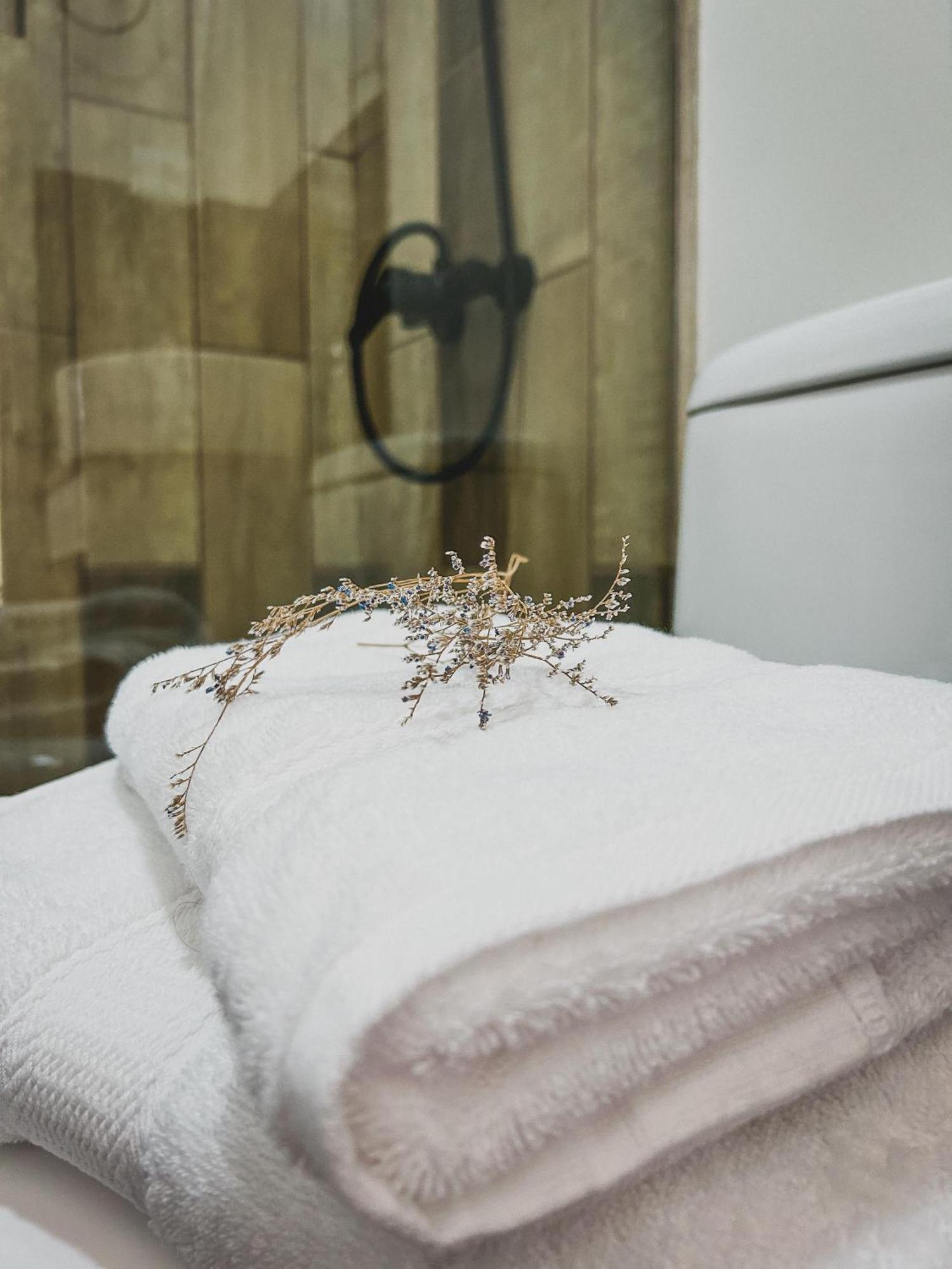 Apartament Departamentos Santa Barbara Osorno Zewnętrze zdjęcie